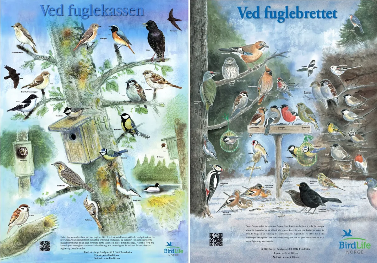 Ved fuglekassen og ved fuglebrettet – To plakater