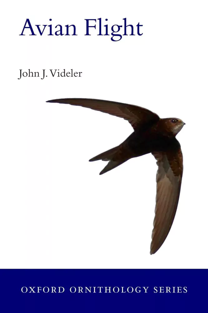 Avian Flight - Image 2