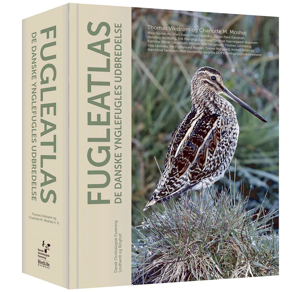Fugleatlas - Image 2