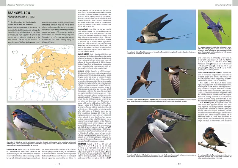 Handbook of Western Palearctic Birds - Image 4