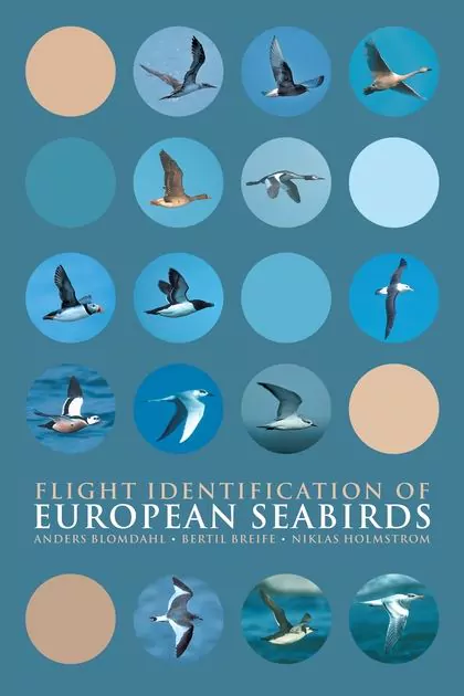 Flight Identification of European Seabirds - Image 2