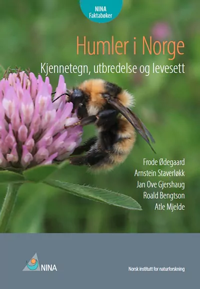 Humler i Norge - Image 2