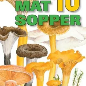 10 matsopper