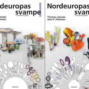 Nordeuropas svampe – 2 bind