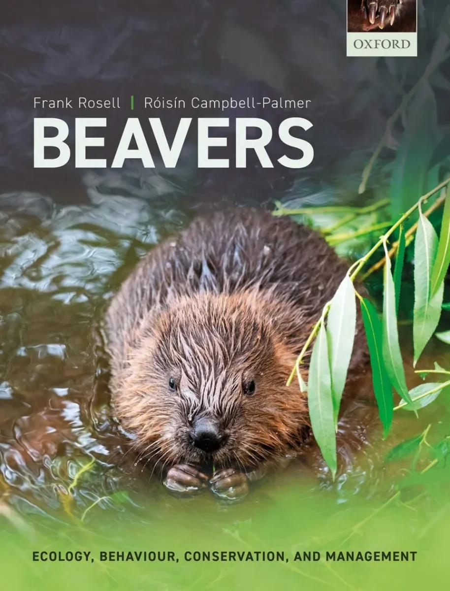 Beavers - Image 2
