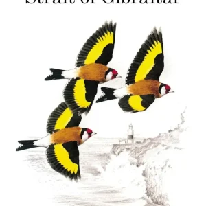 Birds of the Strait of Gibraltar