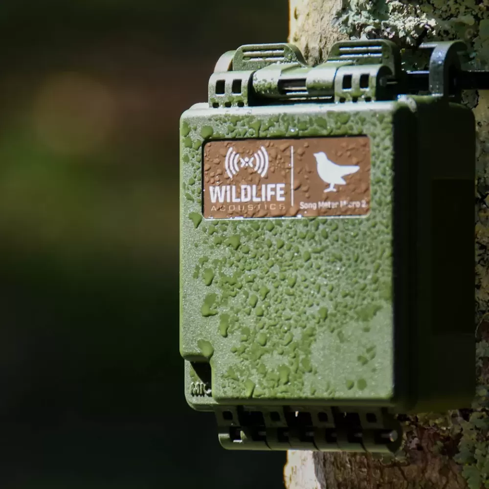 Wildlife Acoustics Song Meter Micro 2 – Lydopptaker for naturovervåking - Image 9