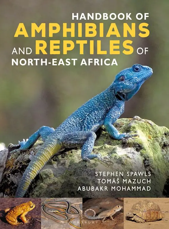Handbook of Amphibians and Reptiles of North-east Africa - Image 2
