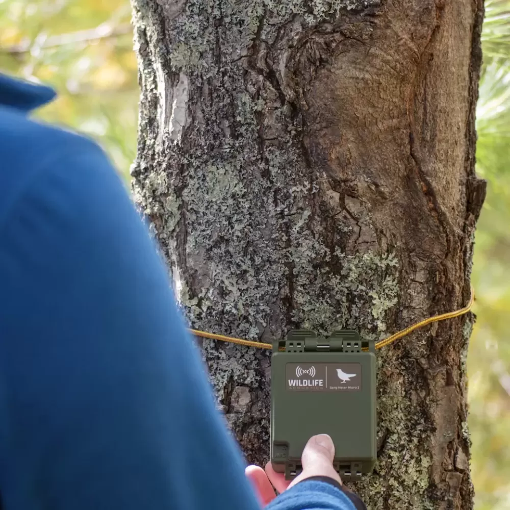 Wildlife Acoustics Song Meter Micro 2 – Lydopptaker for naturovervåking - Image 8