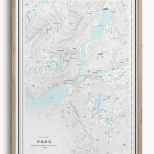 Skikart Voss