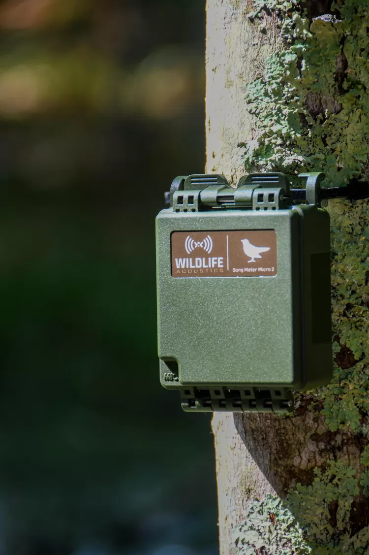 Wildlife Acoustics Song Meter Micro 2 – Lydopptaker for naturovervåking - Image 5