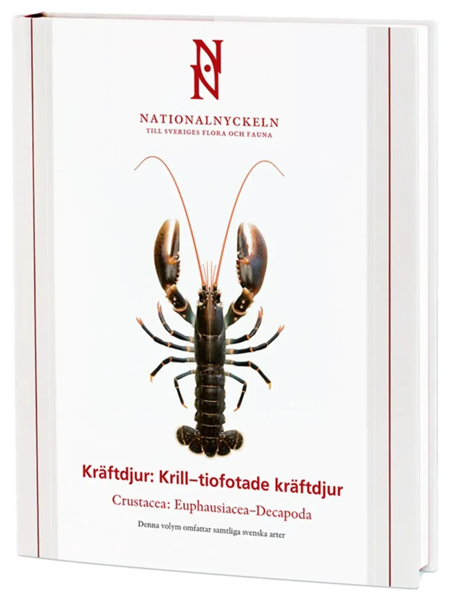 Kräftdjur: Krill-tiofotade kräftdjur